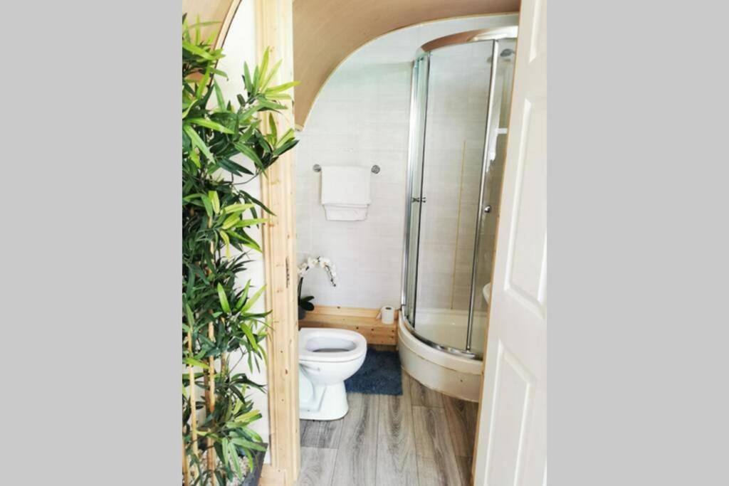 פורטלויס Lazy Lodge Glamping Pod With Hot Tub מראה חיצוני תמונה